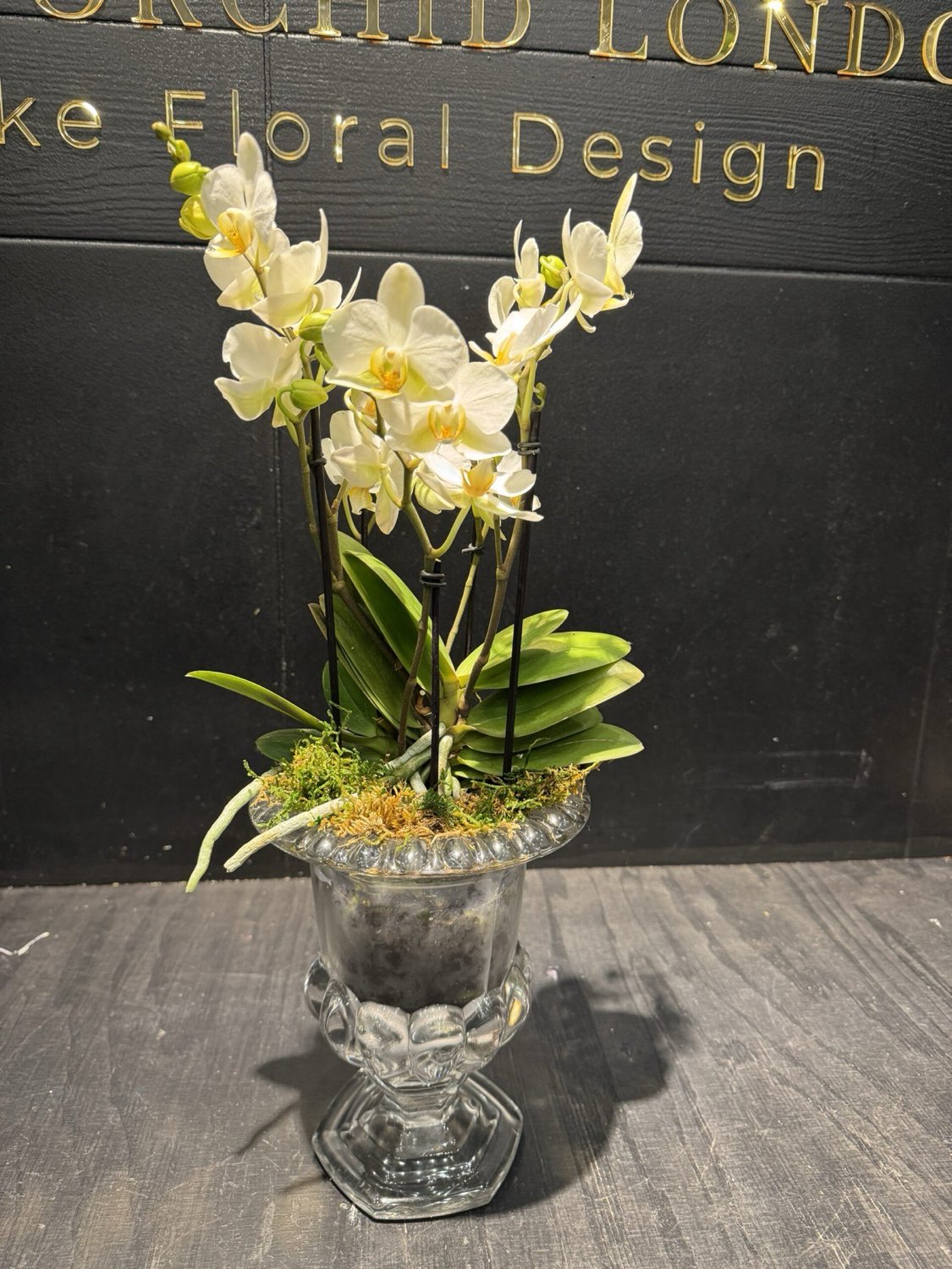 Crystal orchid, floral arrangement from our North London studio by Dancing Orchid, North London florist